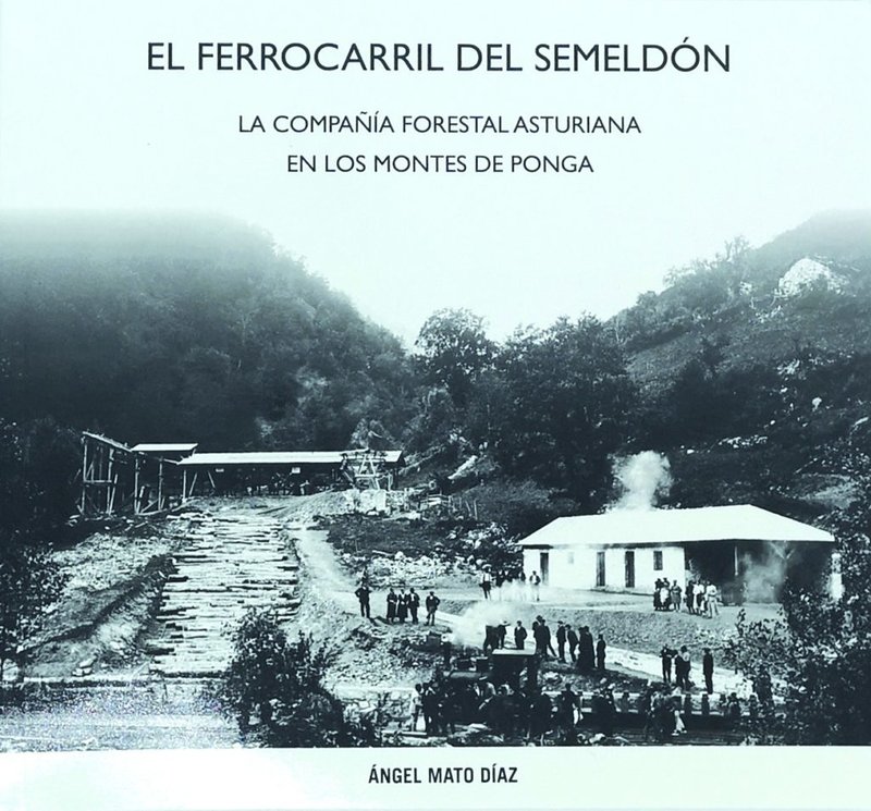 374-El-Ferrocarril-del-Semeldon-La-compania-forestal-asturiana-en-los-montes-de-Ponga-1024x954.jpg