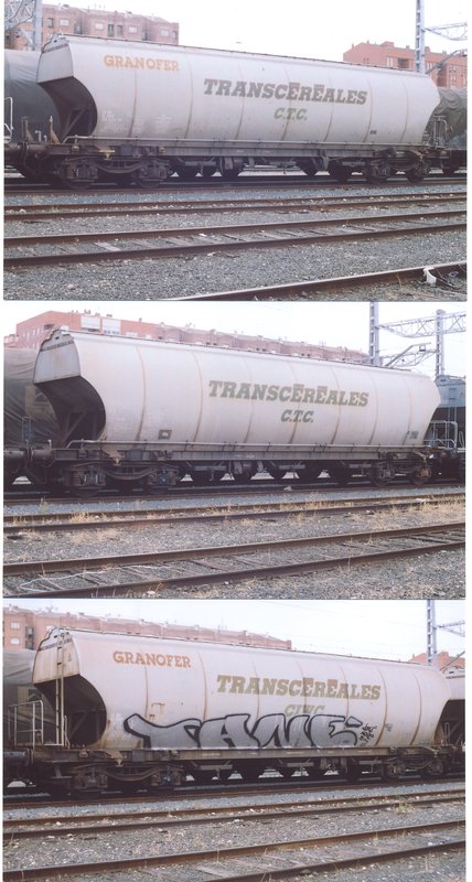 Transcereales SNCF MirandaEbro Ag06.jpg