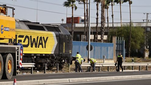 Descarrila-tren-mercancias-Puerto-Sevilla_1602450378_142641994_495x278.jpg