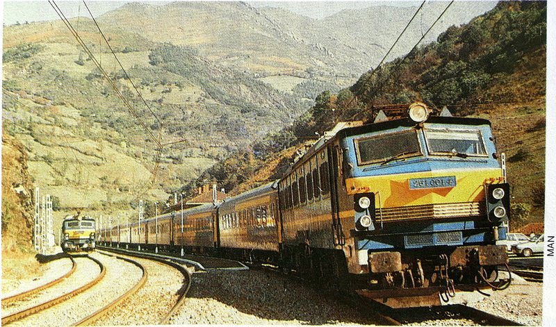 251.jpg