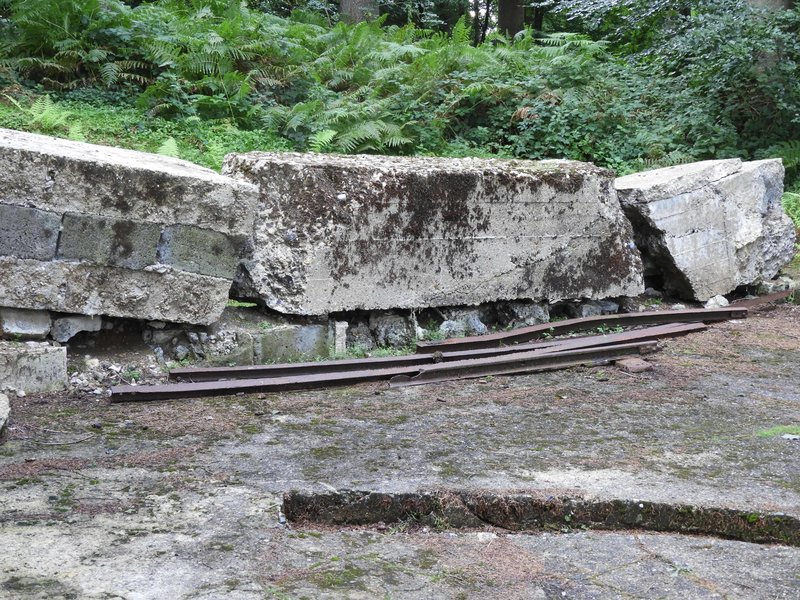 DSCN0901.jpg