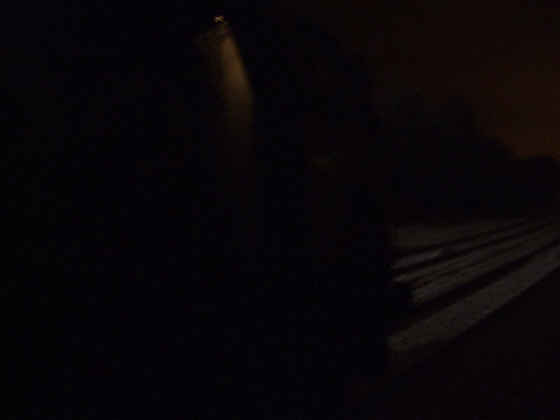 DSCF0716.JPG
