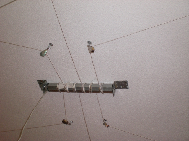 CIMG8610.JPG