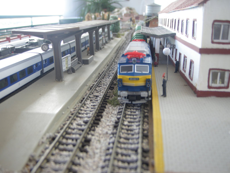 P9173864.JPG