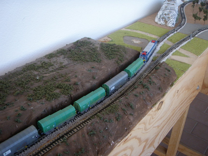P9173869.JPG