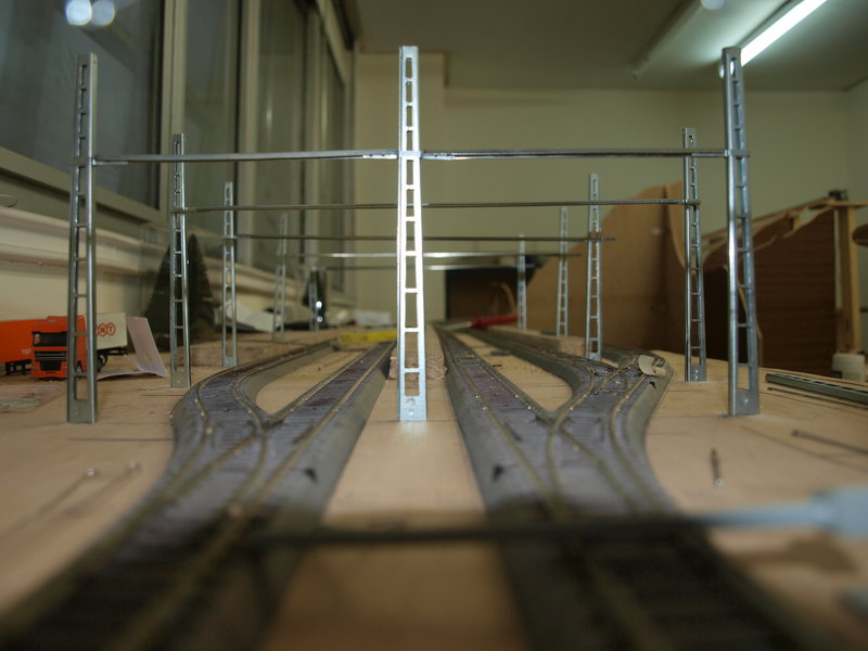 P9166654.JPG