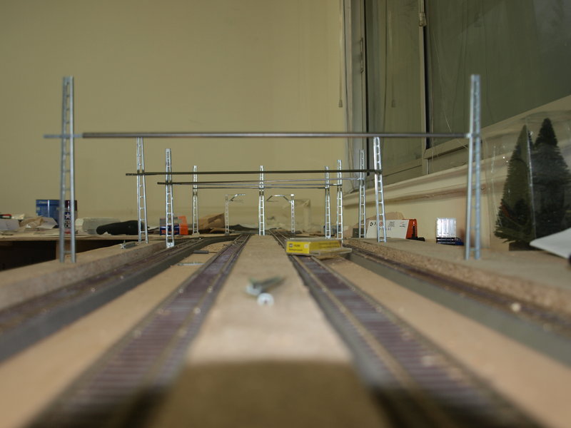 P9166653.JPG