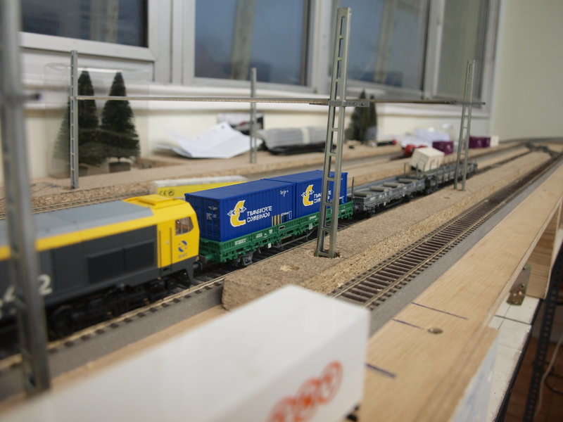 P9166660.JPG