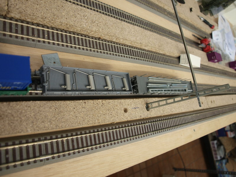 P9166659.JPG