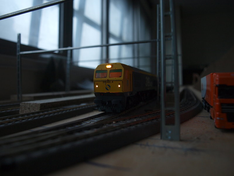 P9166661.JPG