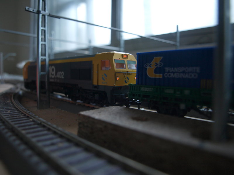 P9166662.JPG