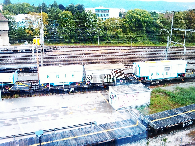 IMAG_0015.jpg