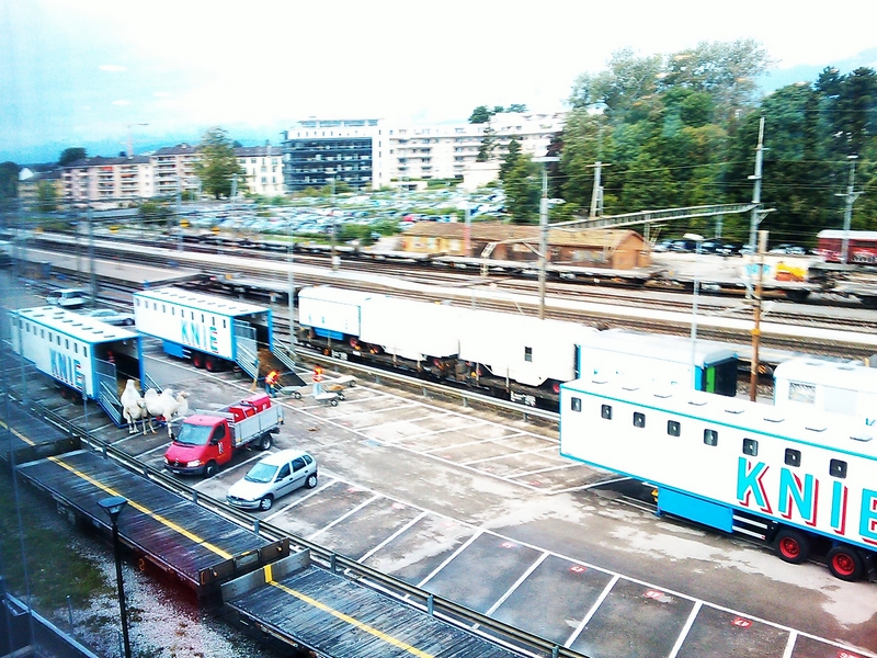 IMAG_0016.jpg