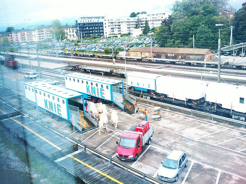 IMAG_0017.jpg