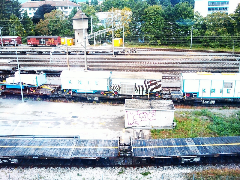 IMAG_0019.jpg