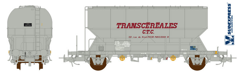 Trans - CTC - morada copy.jpg