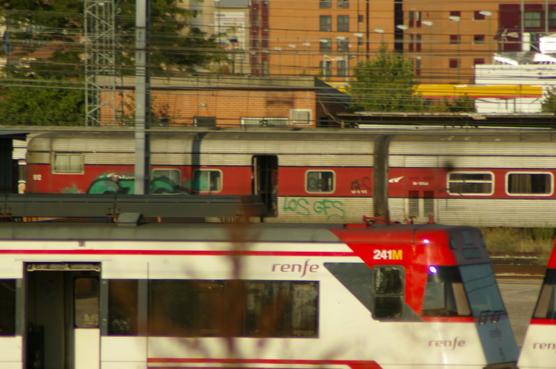 IMGP0633.JPG