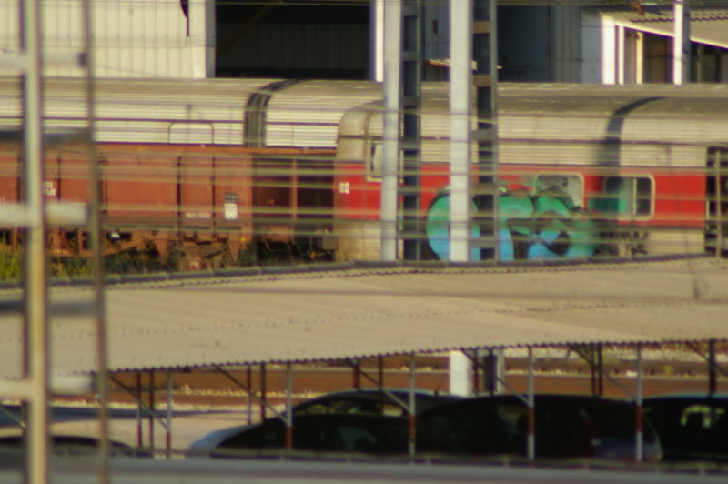 IMGP0637.JPG
