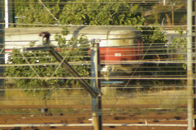 IMGP0649.JPG