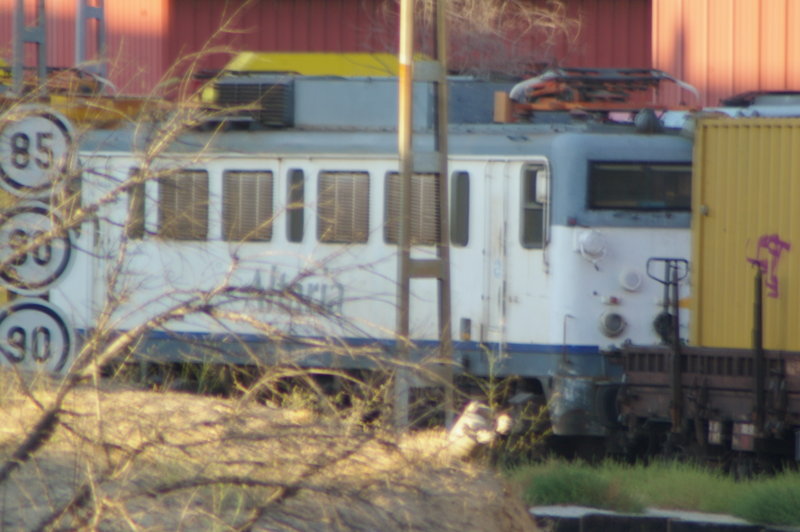 IMGP0653.JPG