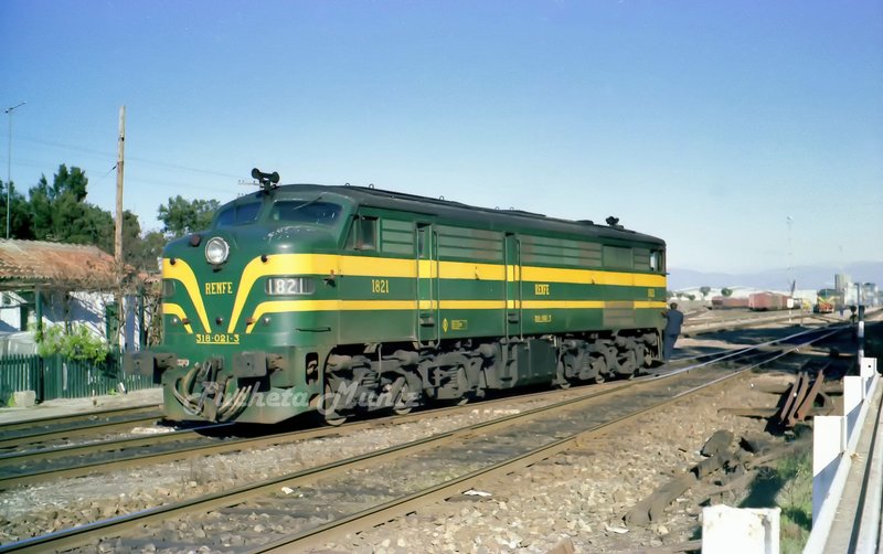 300153.jpg