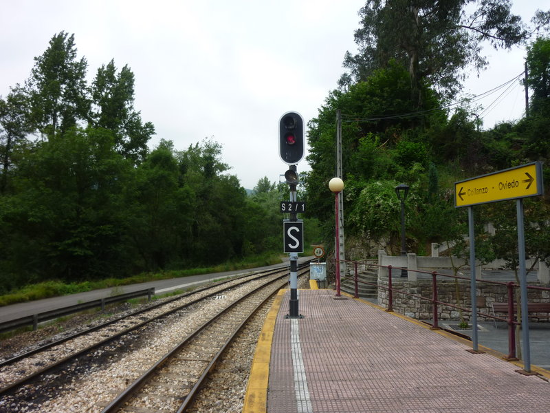 P1000795.JPG