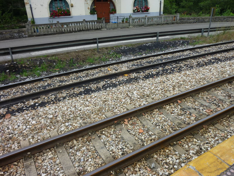 P1000799.JPG