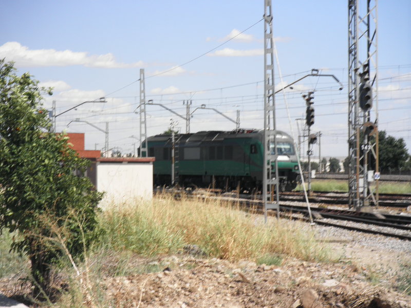 P9070048.JPG