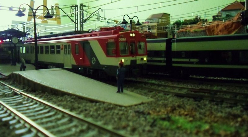 CIMG3091.JPG