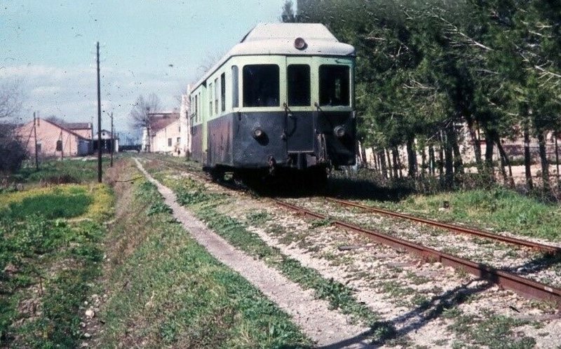 98.jpg