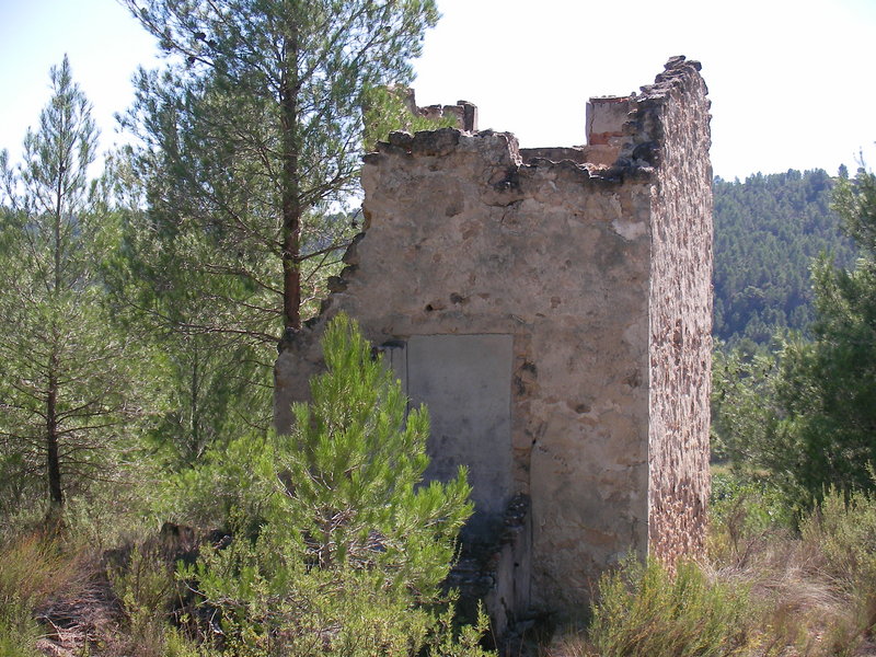 SANY0034.JPG
