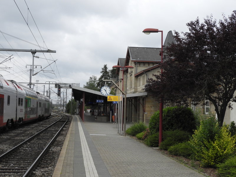 DSCN0336.JPG