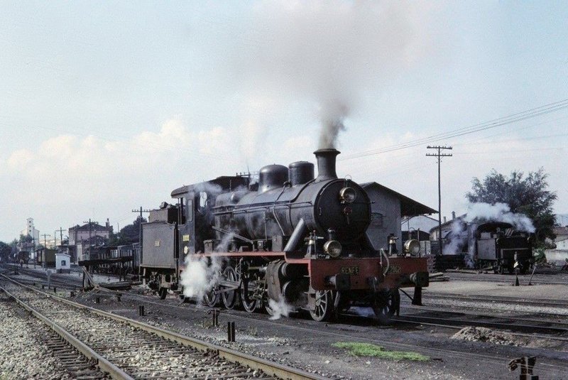 230.jpg