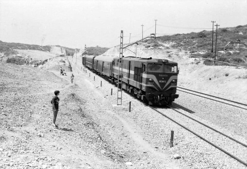 235.jpg