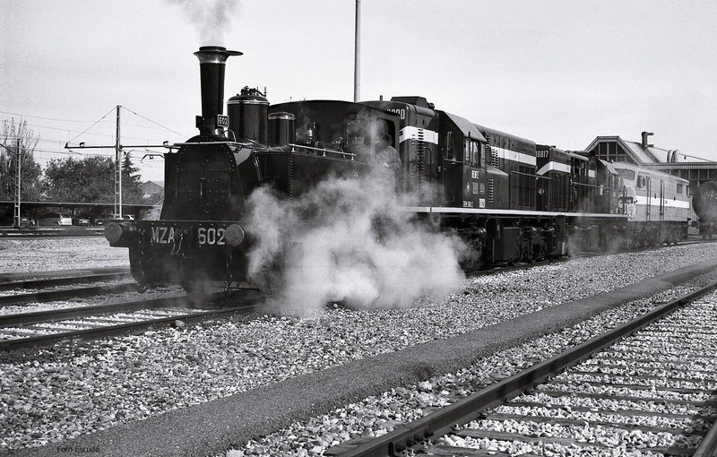 356.jpg