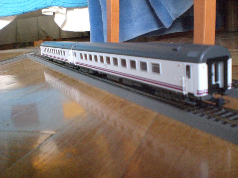 CIMG8650.JPG