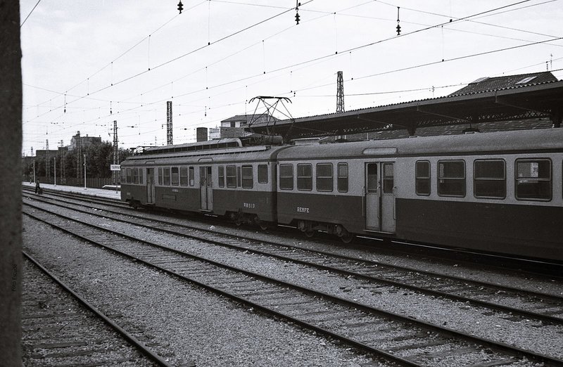 8001.jpg
