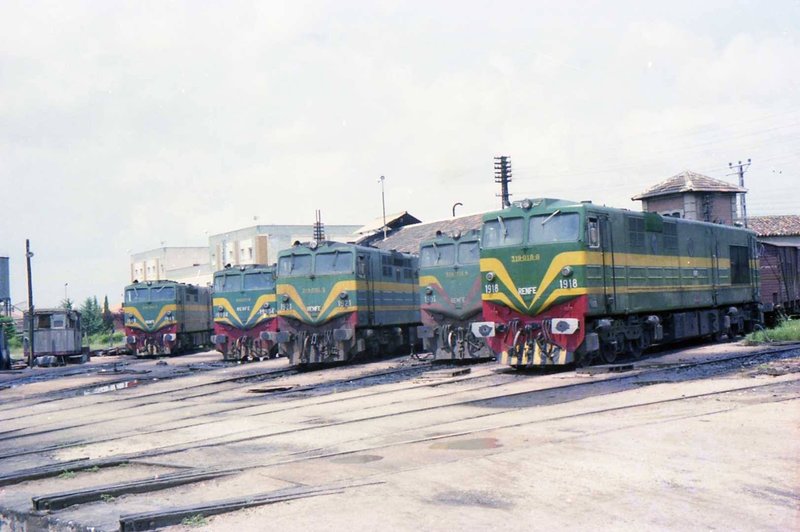 8003 (2).jpg