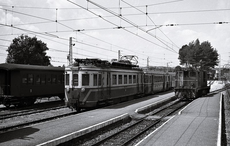 8004.jpg
