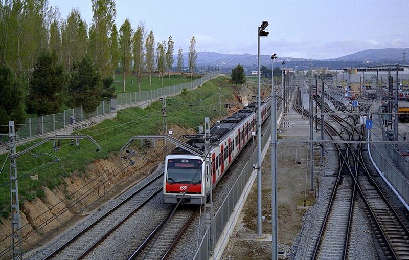 8004.jpg