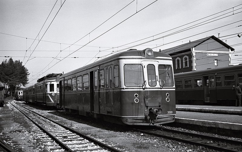 8003.jpg