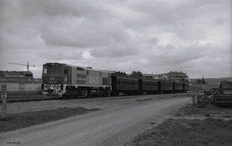 8003.jpg