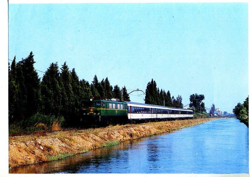 CORAIL-4.jpg