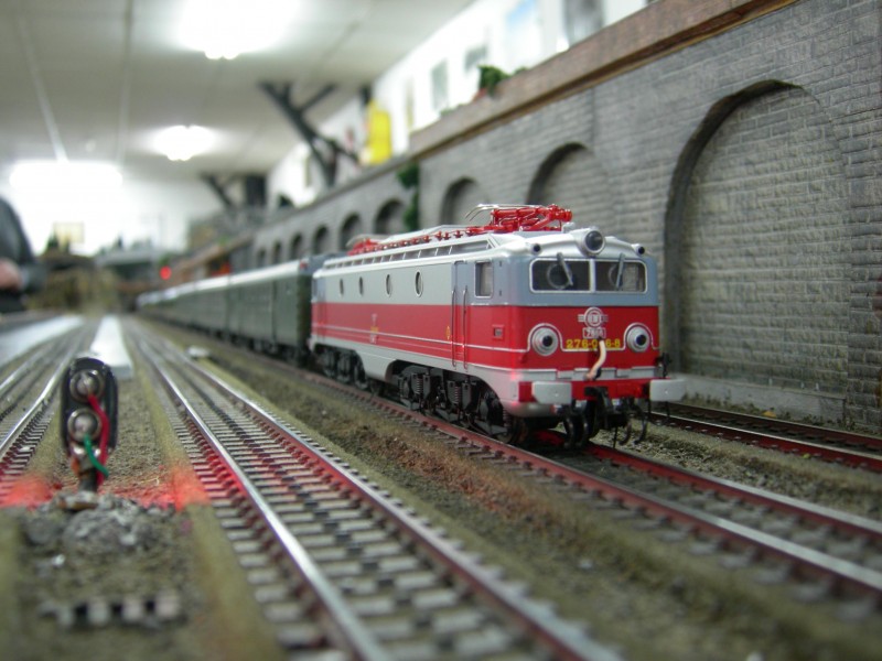 DSCN0198.JPG