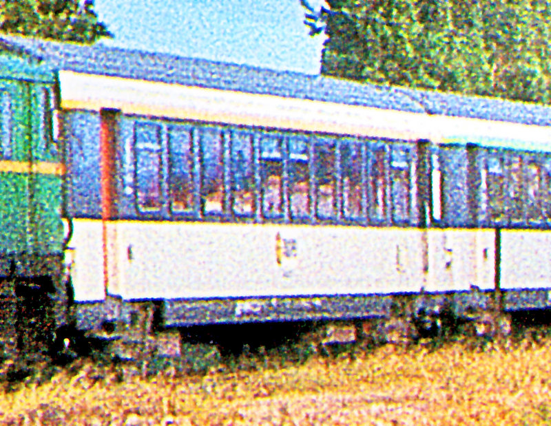 corail.jpg