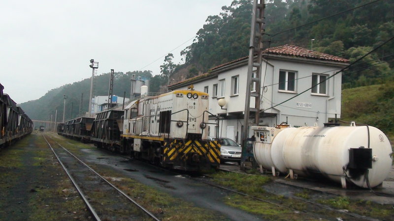 DSC00704.JPG