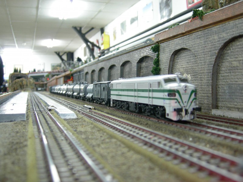 DSCN0201.JPG