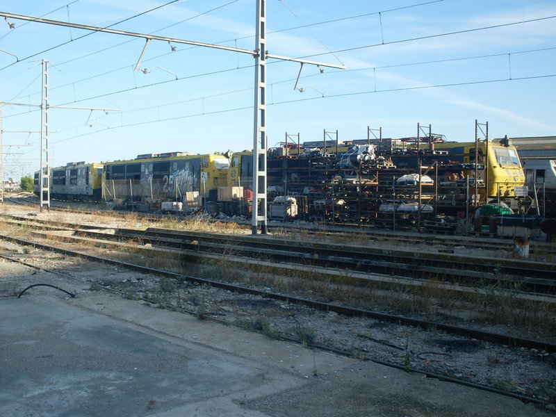 SDC14236.JPG