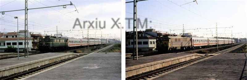 D013-036.jpg