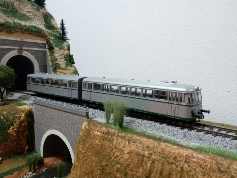 ferrobus_01.jpg